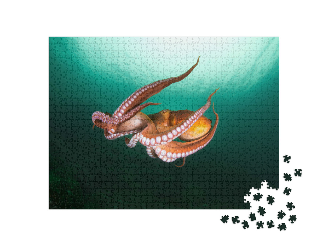 Puzzle 1000 Teile „Flug der Tintenfische in der Tiefsee“