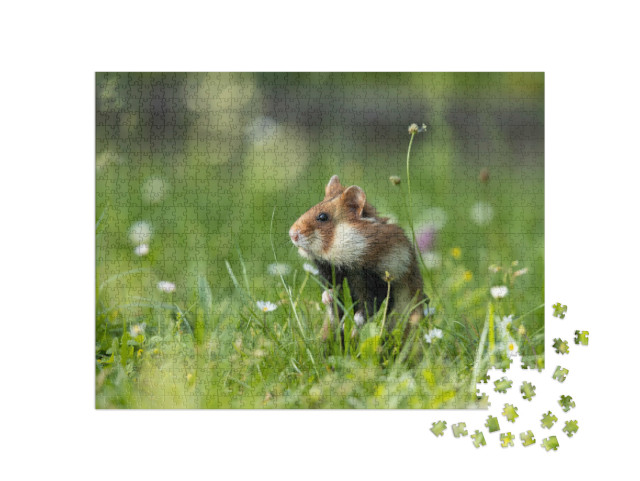 Puzzle 1000 Teile „Feldhamster auf einer grünen Wiese mit Blumen“