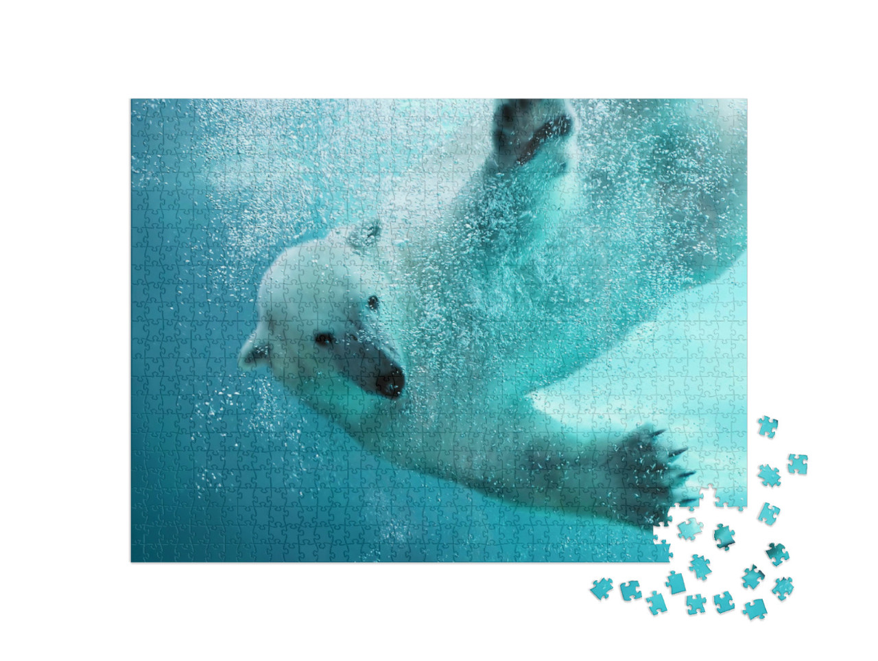 Puzzle 1000 Teile „Eisbär, der unter Wasser angreift“