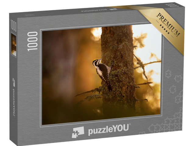 Puzzle 1000 Teile „Dreizehenspecht auf der Suche nach Nahrung“
