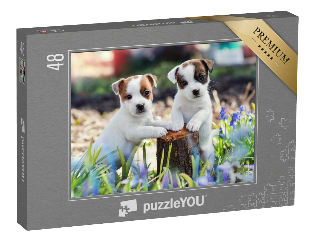 Puzzle 48 Teile „Zwei süße Jack Russell Welpen“