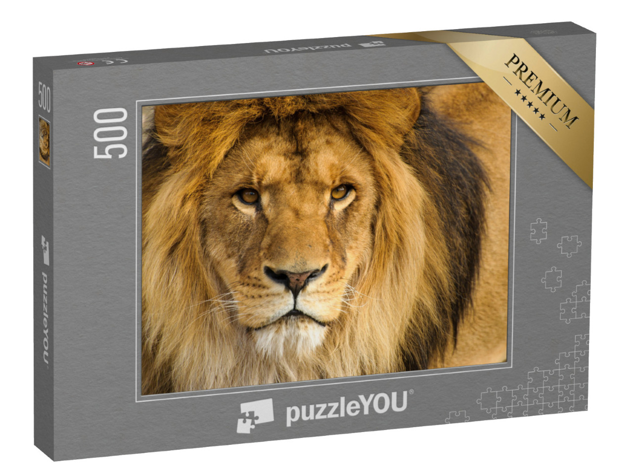 Puzzle 500 Teile „Portrait eines männlichen Löwen“