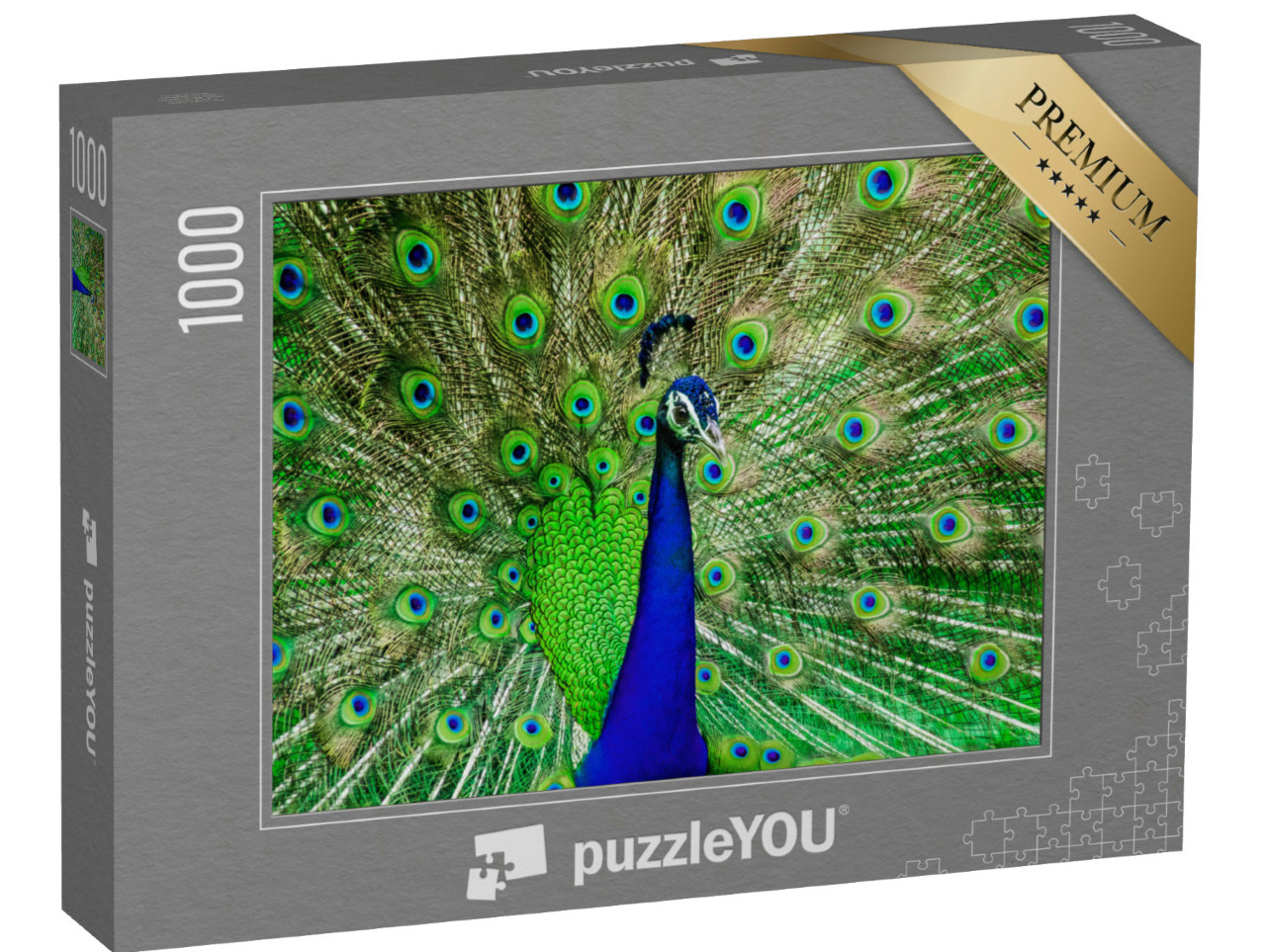 Puzzle 1000 Teile „Die Farben eines Pfaus in freier Wildbahn“