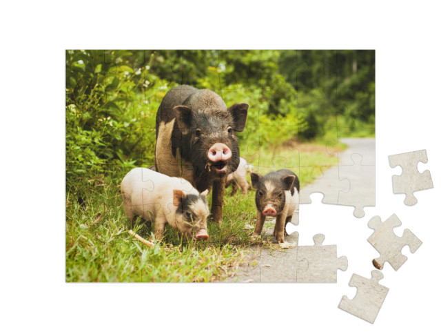 Puzzle 48 Teile „Muttersau mit gefleckten Ferkeln“