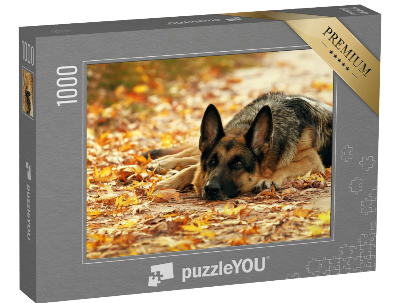 Puzzle 1000 Teile „Deutscher Schäferhund liegt im Herbstwald“