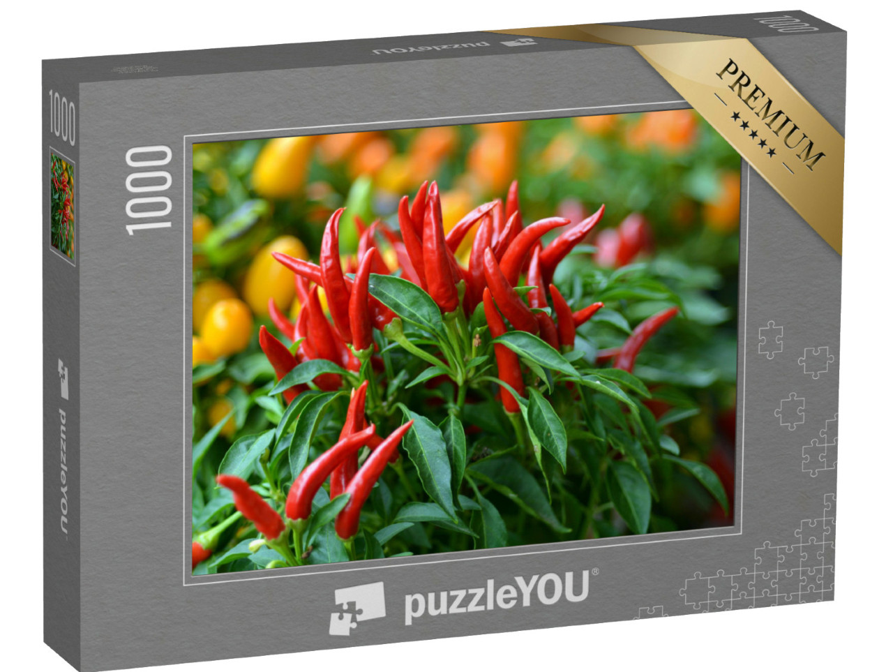 Puzzle 1000 Teile „Chilis aus der Vogelperspektive am Strauch“