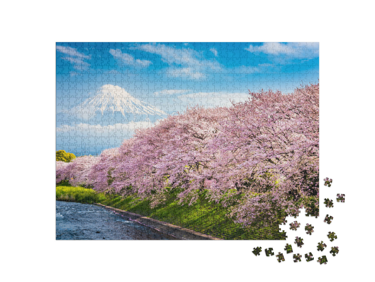 Puzzle 1000 Teile „Berg Fuji, im Vordergrund Sakura, die japanische Kirschblüte“
