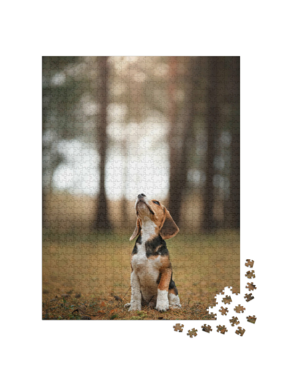 Puzzle 1000 Teile „Hund läuft durch die Natur, Beagle “