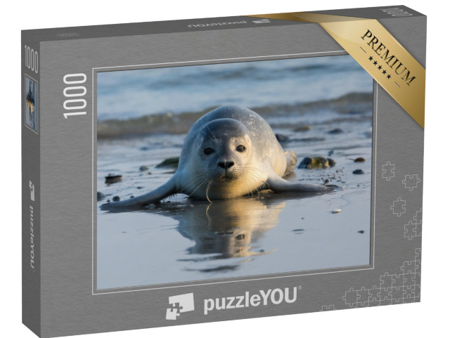 Puzzle 1000 Teile „Seehundwelpe am Strand von Helgoland“