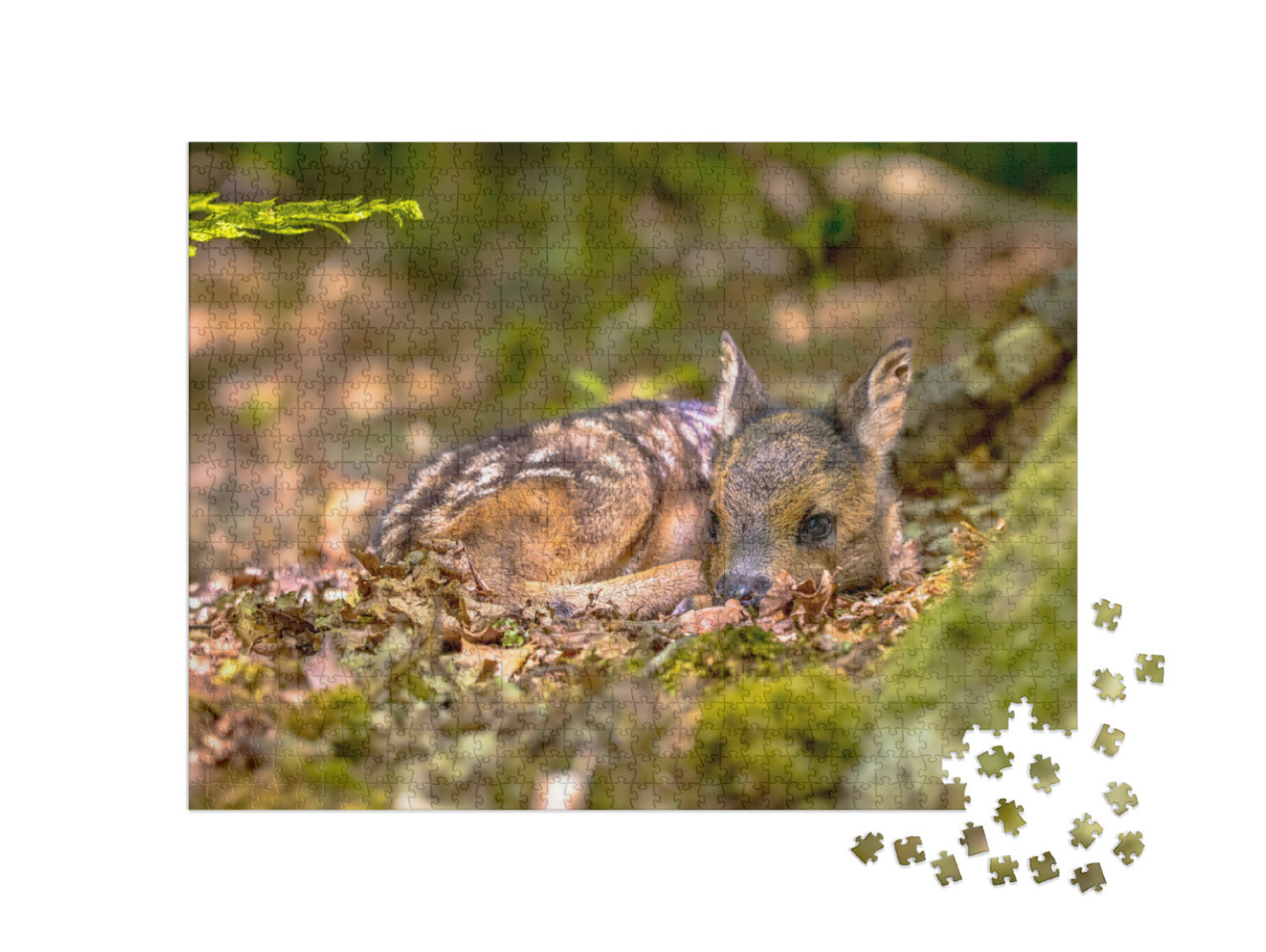Puzzle 1000 Teile „Rehkitz bei einer Pause im Wald“