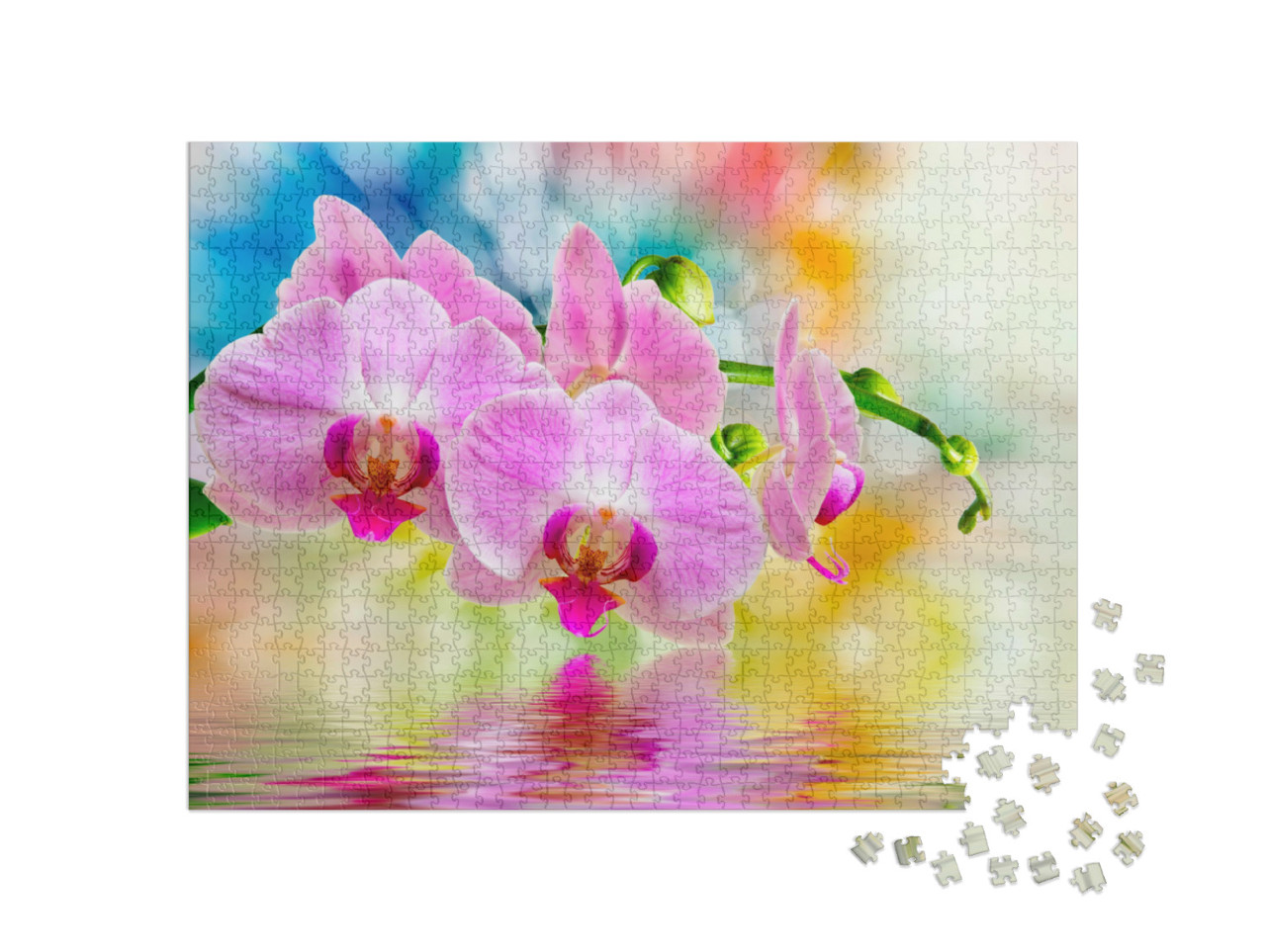 Puzzle 1000 Teile „Nahaufnahme einer Orchidee“