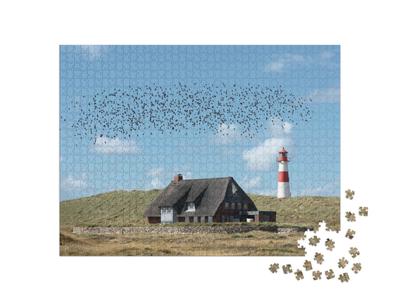 Puzzle 1000 Teile „Leuchtturm List Ost mit einem Schwarm von Vögeln“