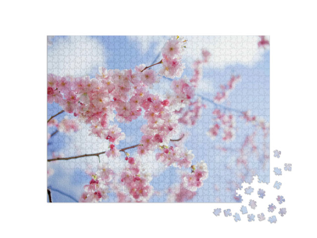 Puzzle 1000 Teile „Sakura: Rosa blühende Kirschbäume im japanischen Frühling“