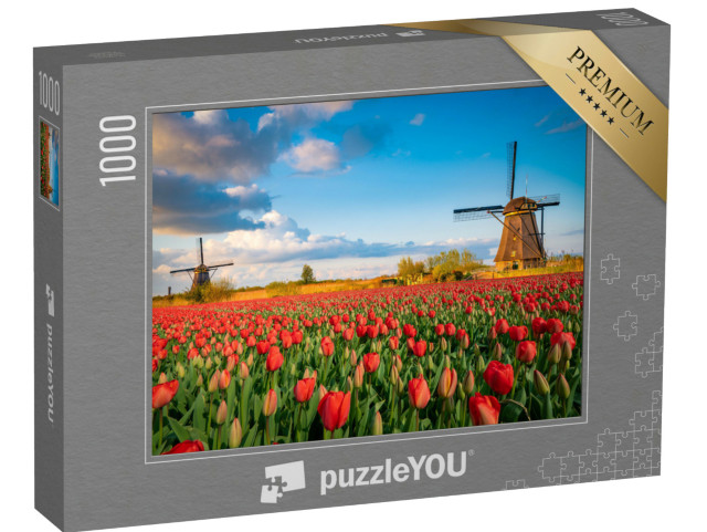 Puzzle 1000 Teile „Niederländische Landschaft mit Windmühlen und Tulpenblüten“