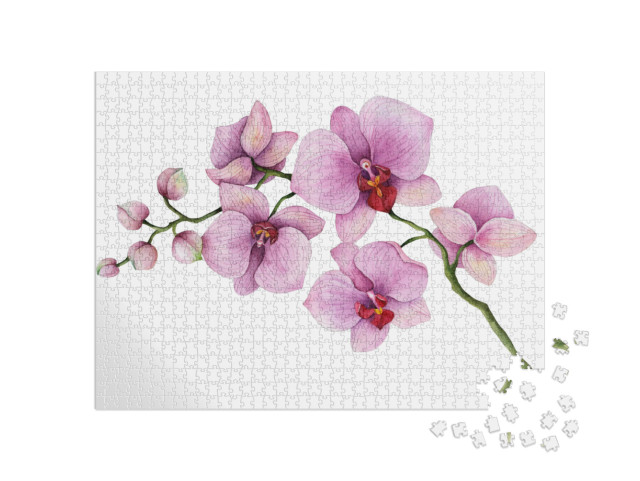 Puzzle 1000 Teile „Ein Orchideenzweig auf weißem Hintergrund“