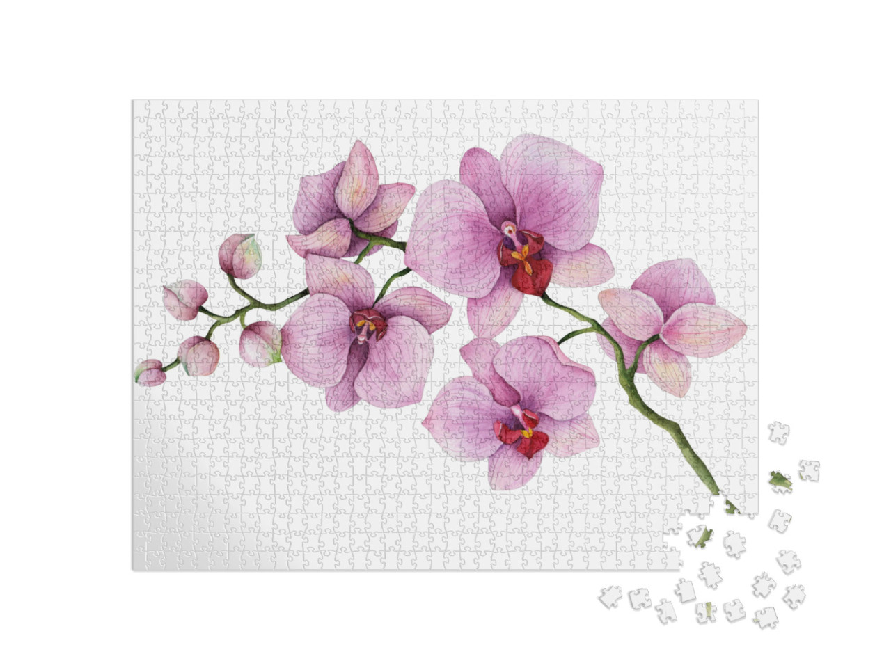 Puzzle 1000 Teile „Ein Orchideenzweig auf weißem Hintergrund“