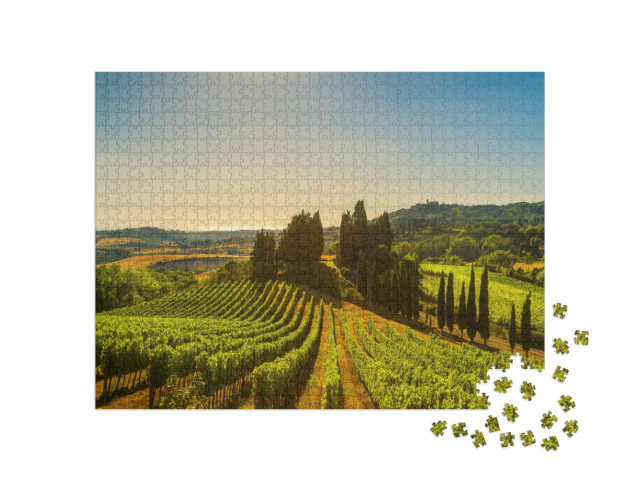 Puzzle 1000 Teile „Weinberge und Landschaft in der Maremma, Toskana, Italien“