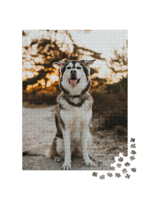 Puzzle 1000 Teile „Husky Golden Retriever Mix“