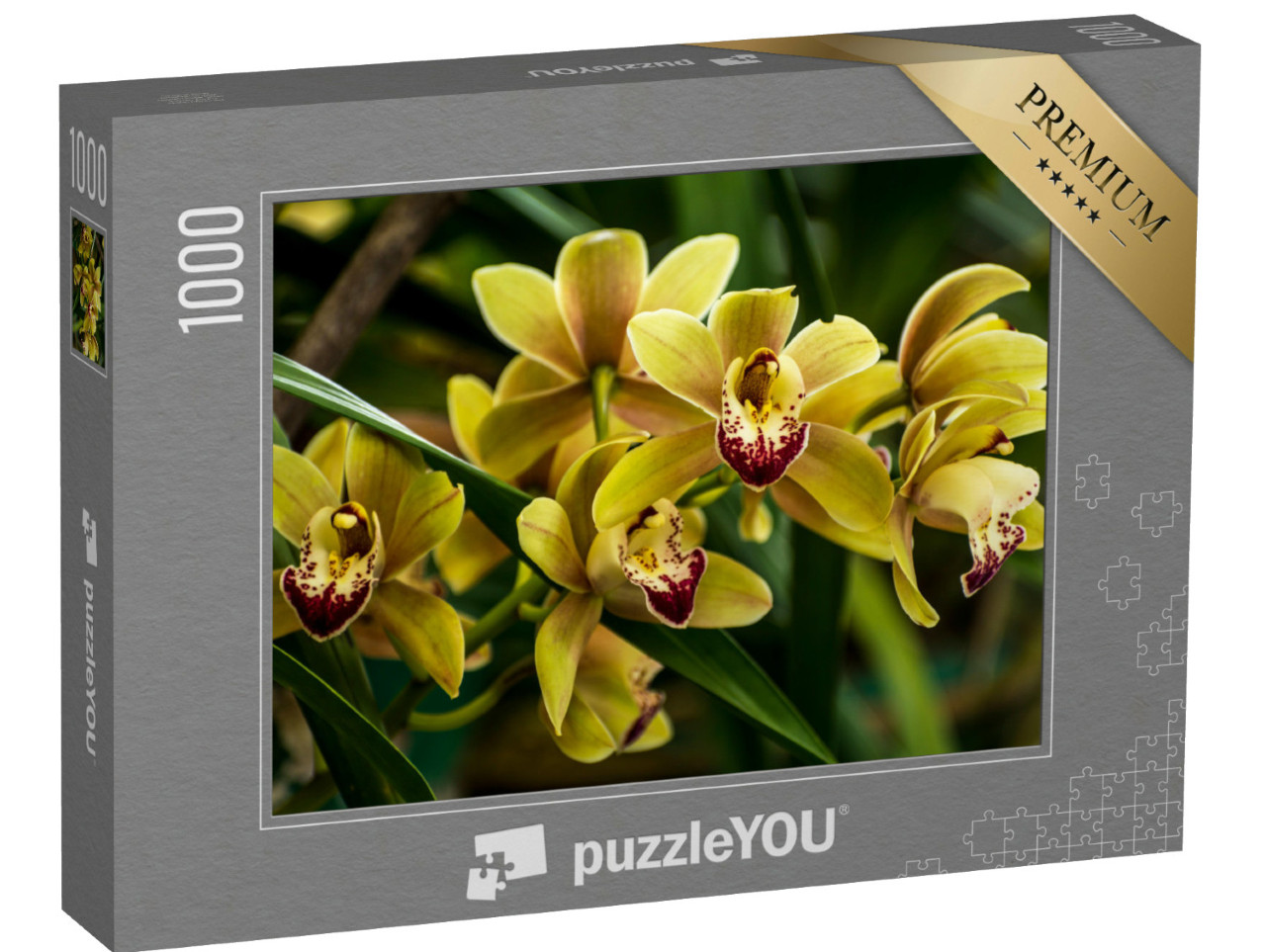 Puzzle 1000 Teile „Bootsorchideen in Indien“