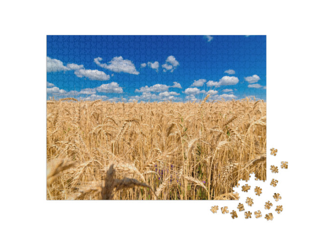 Puzzle 1000 Teile „Goldenes Weizenfeld unter strahlend blauem Himmel“