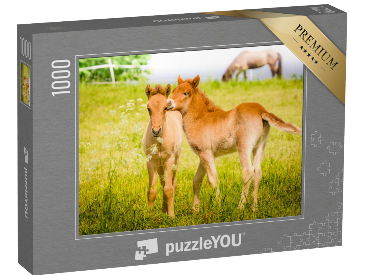 Puzzle 1000 Teile „Spielende Fohlen auf der Wiese“