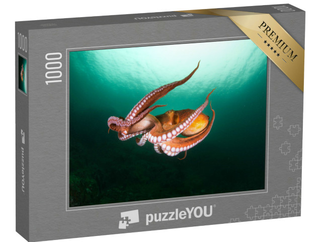 Puzzle 1000 Teile „Flug der Tintenfische in der Tiefsee“