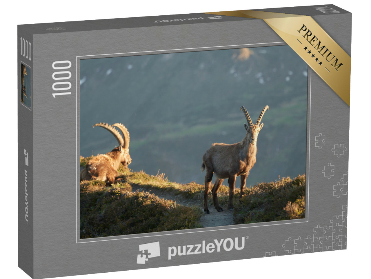 Puzzle 1000 Teile „Steinbock, Alpensteinbock, Schweizer Alpen“