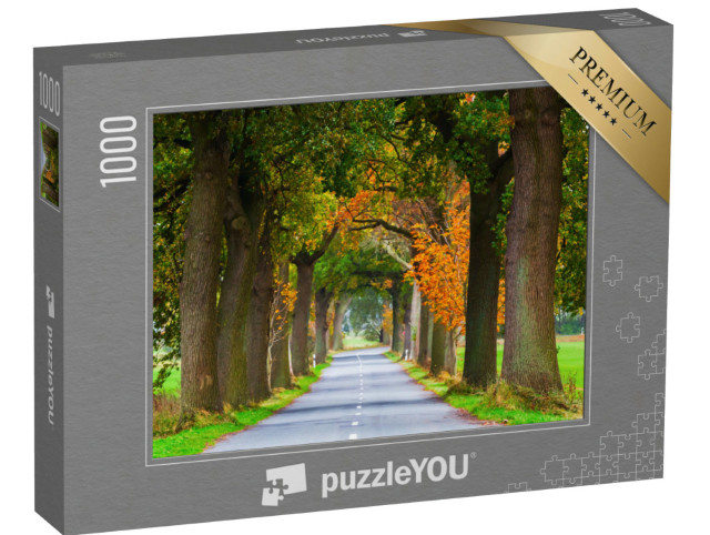 Puzzle 1000 Teile „Herbstliche Baumallee im Lieper Winkel, Usedom, Deutschland“