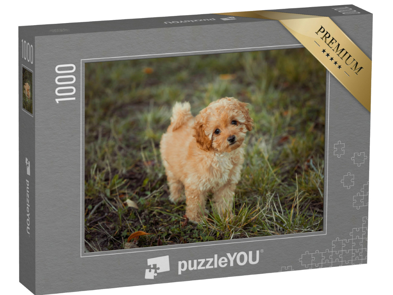 Puzzle 1000 Teile „Kleiner brauner Pudelwelpe“