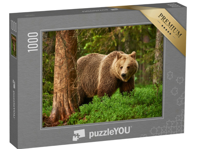 Puzzle 1000 Teile „Ein Braunbär, frei in der finnischen Taiga“