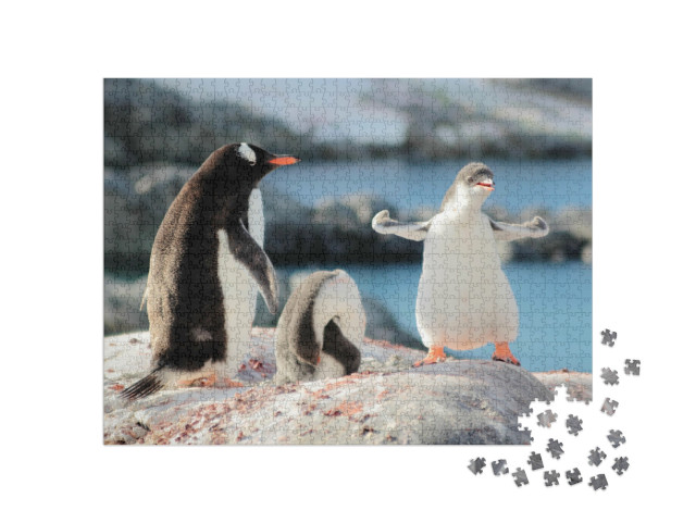 Puzzle 1000 Teile „Wer ist der stärkste Pinguin?“