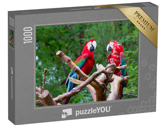 Puzzle 1000 Teile „Papageienpärchen unter sich“
