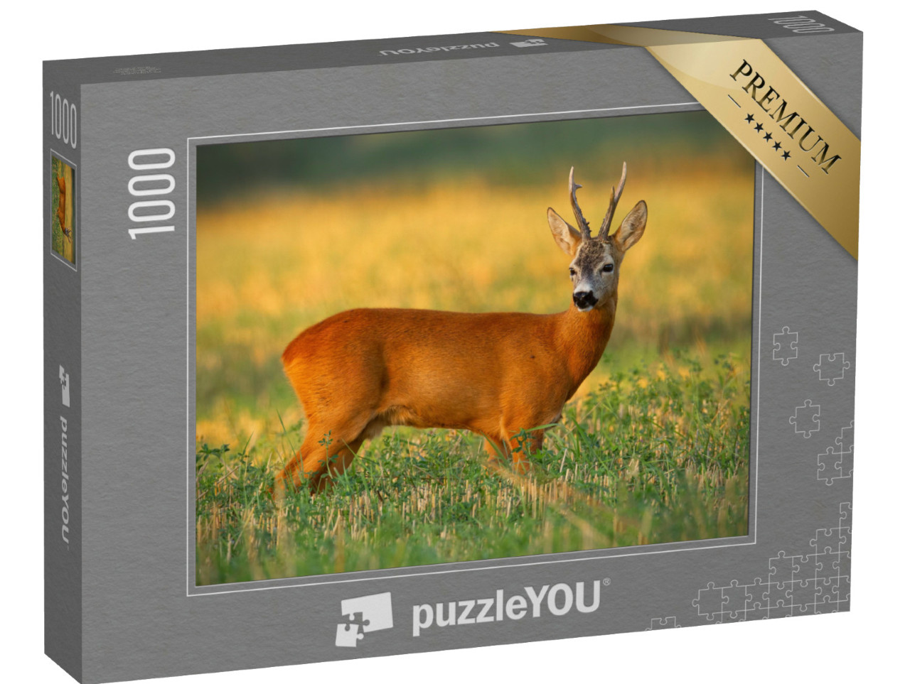 Puzzle 1000 Teile „Rehbock auf dem Feld im Abendlicht“
