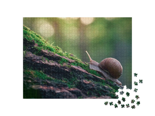 Puzzle 1000 Teile „Weinbergschnecke an der Rinde eines mit Moos bewachsenen Baumes“