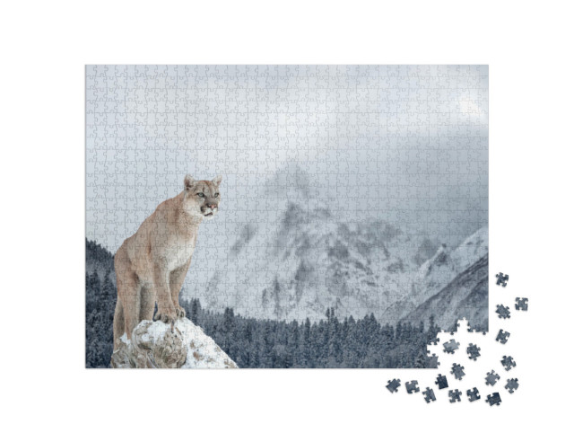 Puzzle 1000 Teile „Porträt eines Pumas in den winterlichen Bergen“