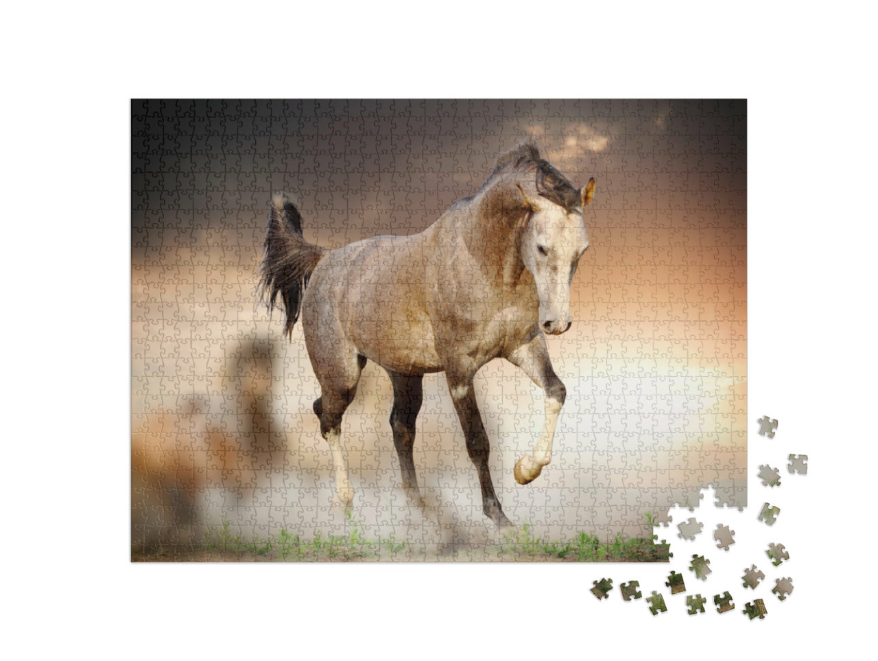 Puzzle 1000 Teile „Ein Araber-Hengst bei Sonnenuntergang“