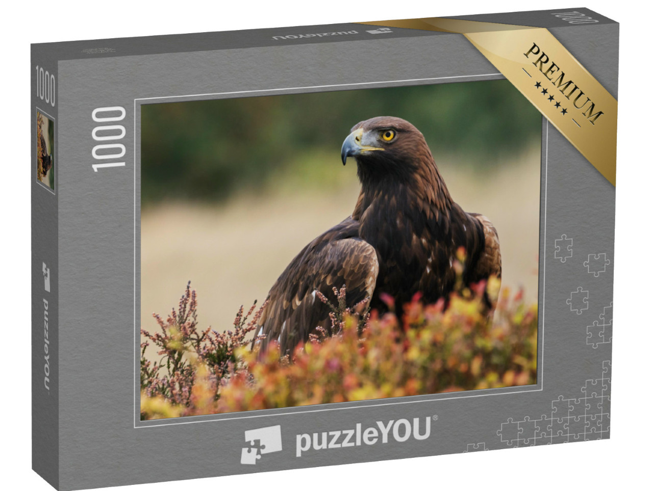 Puzzle 1000 Teile „Ein Steinadler schaut sich um“
