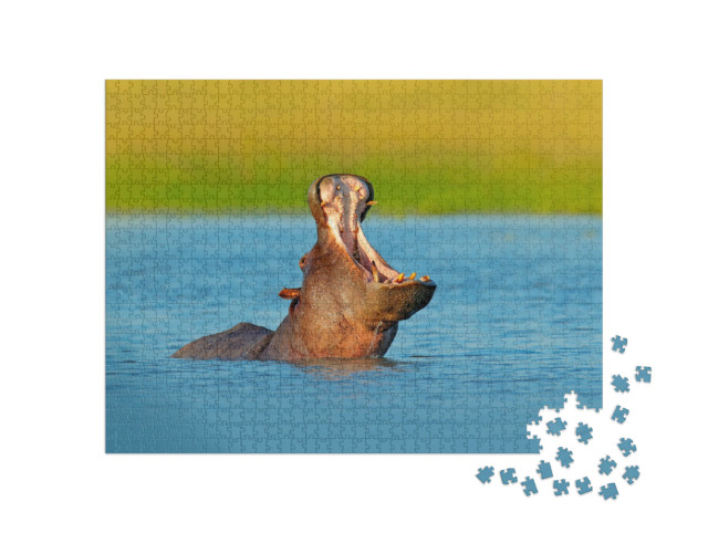Puzzle 1000 Teile „Nilpferd mit offener Schnauze im Wasser, Botswana, Afrika“
