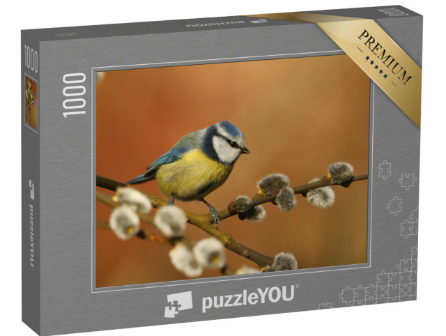 Puzzle 1000 Teile „Kleine Blaumeise auf einem Weidenzweig“