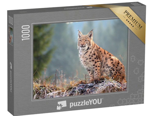 Puzzle 1000 Teile „Eurasischer Luchs in den slowakischen Karpaten“