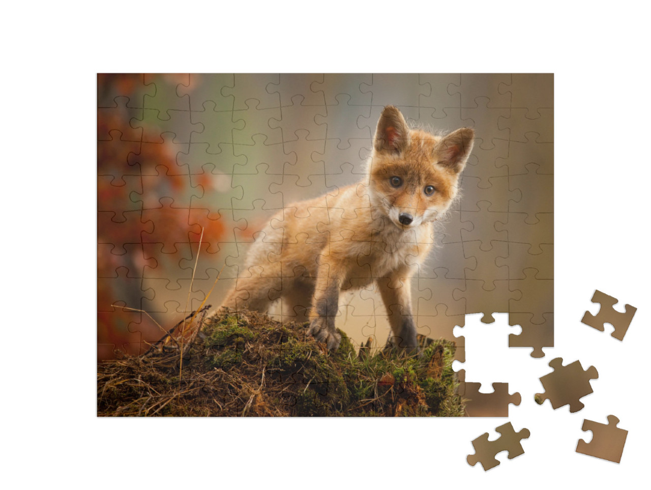 Puzzle 100 Teile „Ein junger Fuchs“