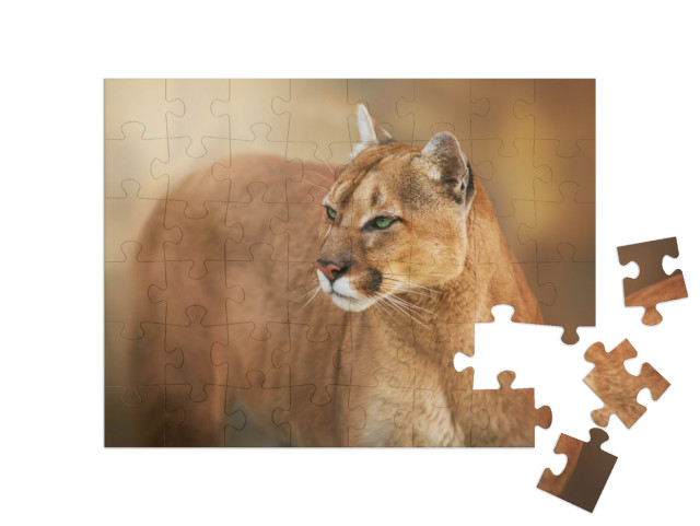Puzzle 48 Teile „Puma mit grünen Augen“