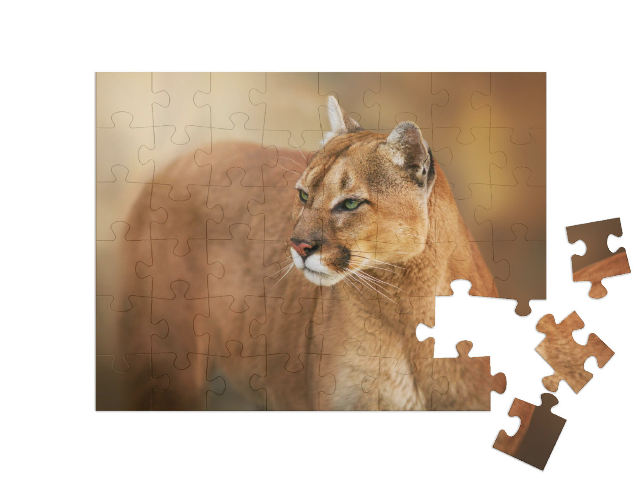 Puzzle 48 Teile „Puma mit grünen Augen“