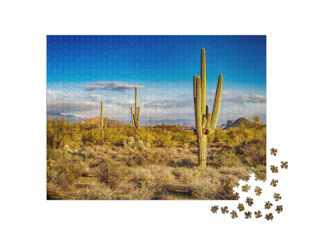 Puzzle 1000 Teile „Kakteen in wilder Landschaft“