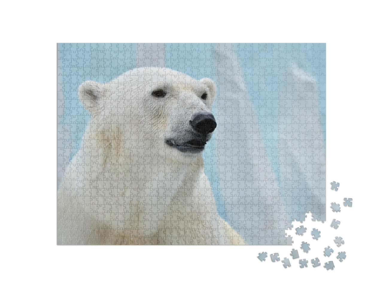 Puzzle 1000 Teile „Porträt eines Eisbären “