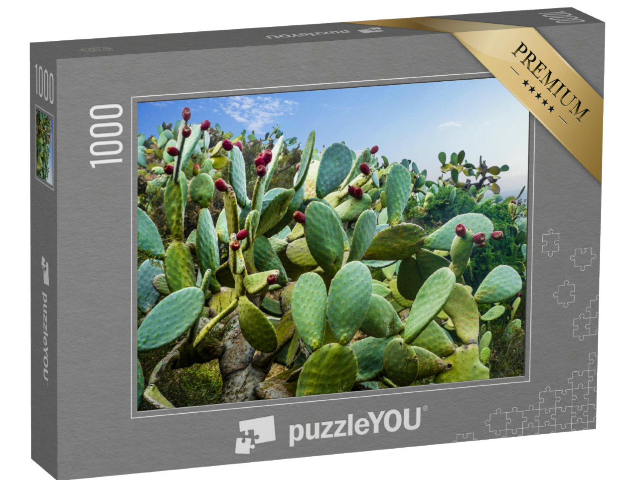 Puzzle 1000 Teile „Kaktusfeld bei Mexiko-Stadt“