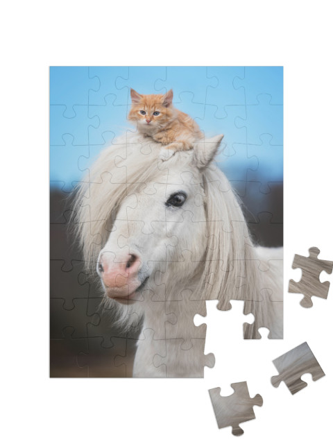 Puzzle 48 Teile „Kleines rotes Kätzchen auf dem Kopf eines weißen Shetlandponys“