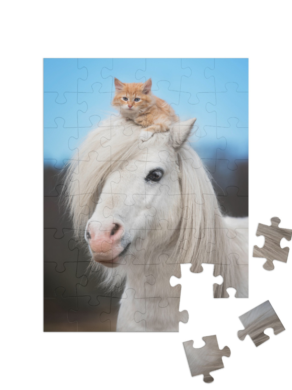 Puzzle 48 Teile „Kleines rotes Kätzchen auf dem Kopf eines weißen Shetlandponys“