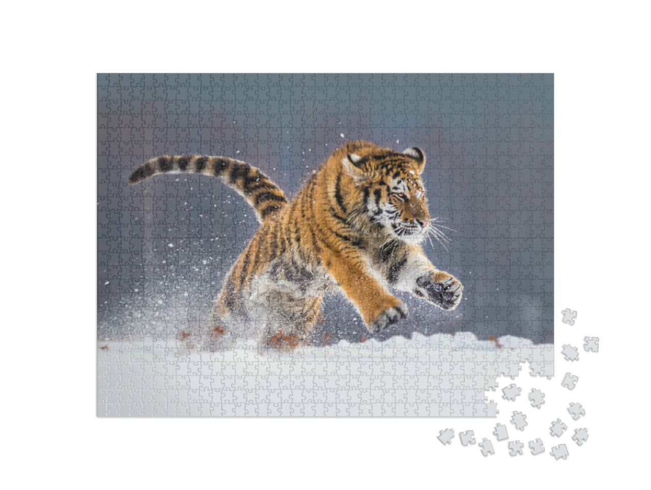 Puzzle 1000 Teile „Kraftvoll und majestätisch: Sibirischer Tiger im Schnee“