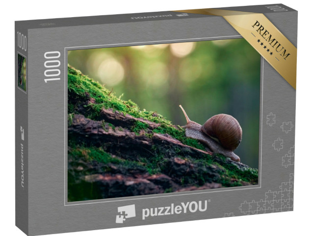 Puzzle 1000 Teile „Weinbergschnecke an der Rinde eines mit Moos bewachsenen Baumes“